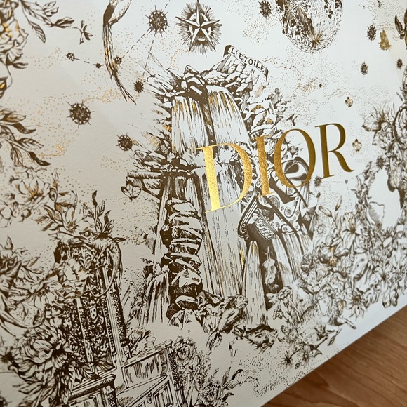 Limited Edition Large DIOR shopping bag - Picture 5 of 6